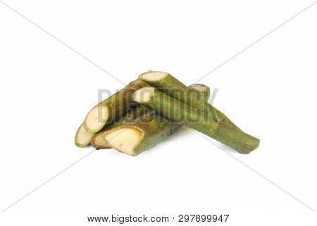 Streblus Asper Lour.has Anti-bacterial Effect, Treat Toothache And Has Anti-inflammatory Effect.with