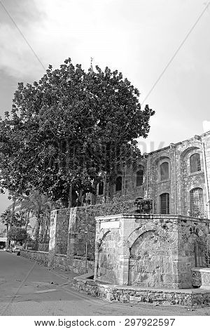 The Part Of Grans Mosque (djami Kebir As It Is Called) In Larnaca, Cyprus
