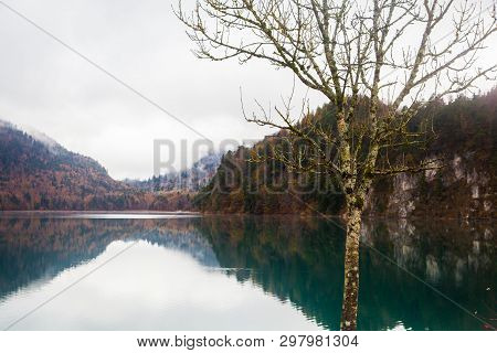 Lake Alpsee