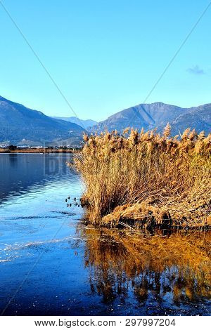Beautiful View On Lake And Réflection In Corsican Islande