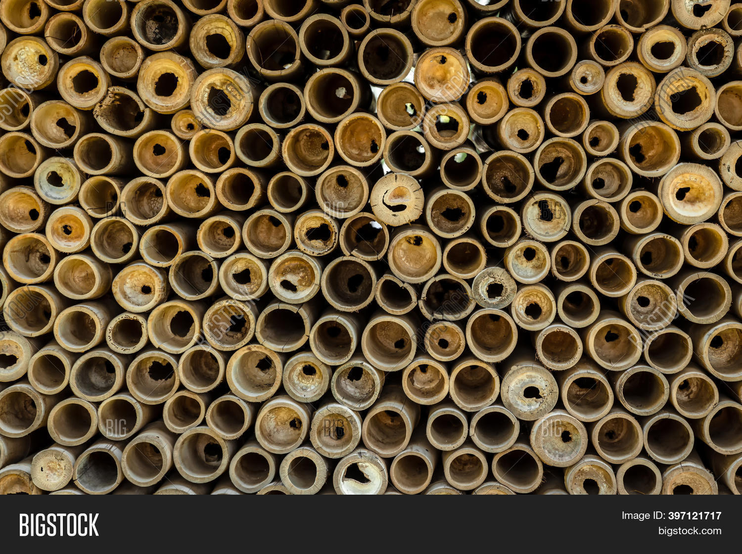 Bamboo Fence Texture Image Photo Free Trial Bigstock