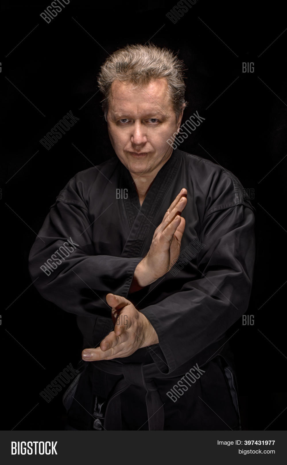 Portrait Aikido Master Image & Photo (Free Trial) Bigstock