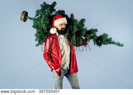 Santa With Pine Tree. Santa Man With Fir-tree. Winter Holidays. Christmas Tree. Merry Christmas. Hap