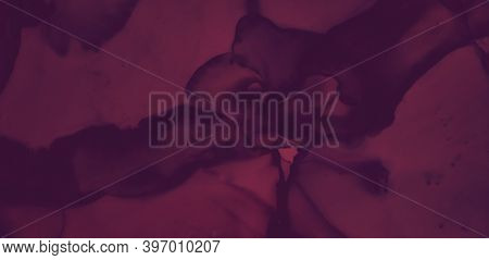 Red Wine Splash. Watercolour Winery Template. Abstract Burgundy Cover. Dark Maroon Texture. Color Wi