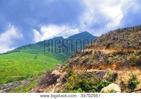 ladera de la montaña hermosa