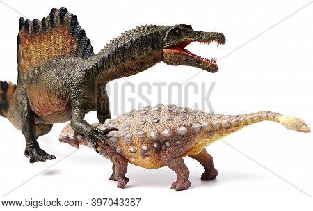 Spinosaurus Fighting Ankyrosaurus Isolated On White Background.  Spinosaurid Dinosaur That Lived In 