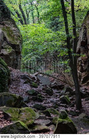 View In A Rugged Gorge In A Forest.