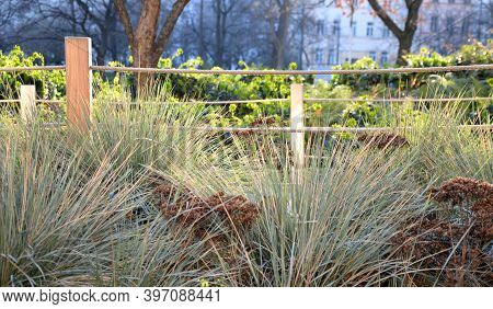 Wooden Park Bench With Metal Structure On Granite Pavement In The Park Supporting Wall Of Rope Fence