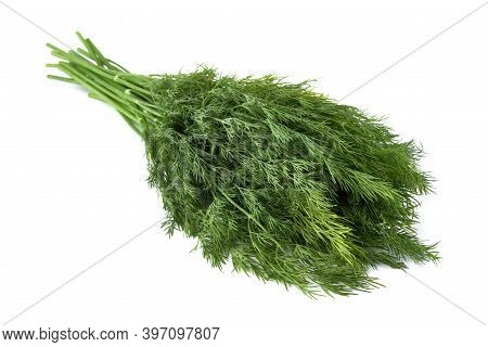 Fresh Green Dill Background. Green Dill Texture. Bunch Of Dill. Seasoning. Spice For Different Dishe