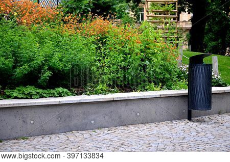 They Form Such A Dense Clump That Even Outside The Flowering Period, The Plant Is Very Attractive An
