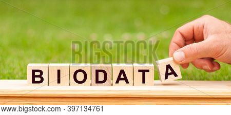Word Biodata Written With Wooden Blocks. Concept.