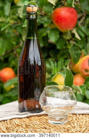 Brut Apple Cider From Normandy In Bottle, France And Green Apple Tree With Ripe Red Fruits On Backgr