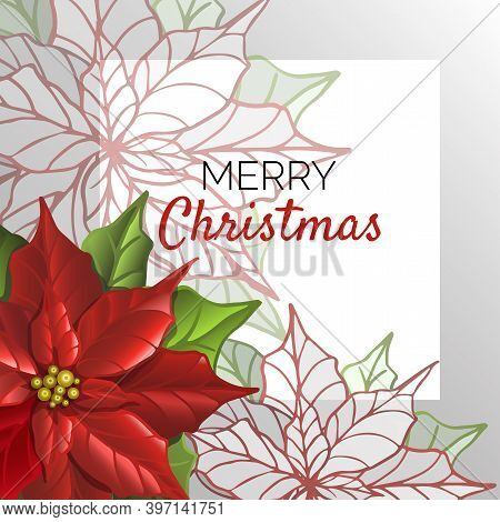 Postcard Christmas Template With Poinsettia Flowers. Floral Background. Stylized Poinsettia.