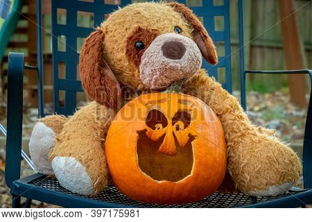 Fun Halloween Vibes With A Stuffed Animal Puppy Cuddling With A Silly Jack-o-lantern. Raleigh, North