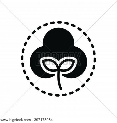 Black Solid Icon For Soft Bland Pulpy Waxen Cotton Fabric Natural Organic Cotton-flower Blossom
