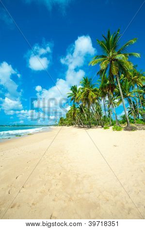 ริมชายหาดขาวละเอียดในศรีลังกา