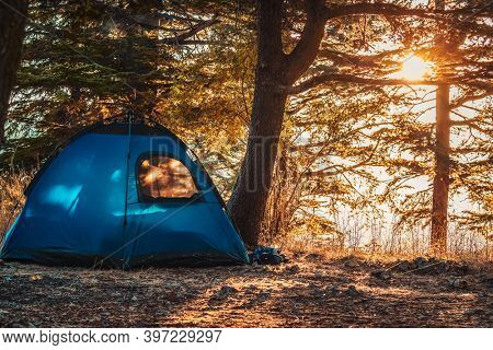 Morning in the Cedars Forest. Bright Sunlight Makes His Way Through the Trees into a Tent in the Mountains. Weekend in Tannourine, Lebanon.