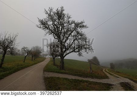 Landscape With Fog In An Early Frosty Morning