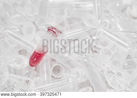 Used Microcentrifuge Eppendorf Tubes With Red Fluid Or Blood After Analysis. Pcr Test. Biochemical O