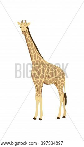 Icon Of African Giraffe. Wild Savannah Giraffe. Zoo Or Wildlife Theme. Cartoon Vector Illustration I