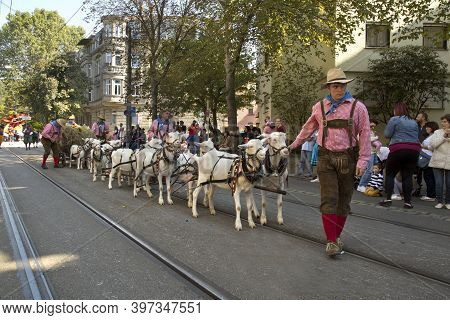 Stuttgart, Germany, 25 September 2016. Volksfest In Stuttgart. The March Through The City Center.