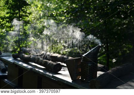 Beekeeper's Smoker Emitting A Lot Of Fragrant Smoke From Rotting Wood In The Darkness Of The Forest 