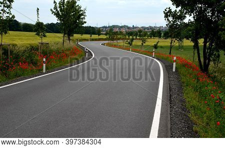 A New Asphalt Road With White Line On The Sides In A Ditch Along Which Grow Maples Red Poppies Aroun