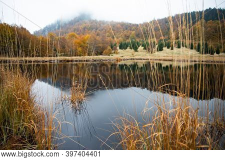 Scenic autumn view of small lake at Roosterâs Ridge, Gutaiului Mountains, Romania.