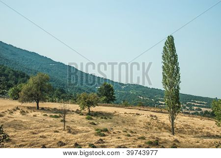 Mountain view - Parque Nacional Olympus