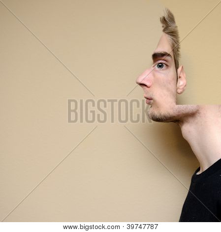 Illusion Portrait