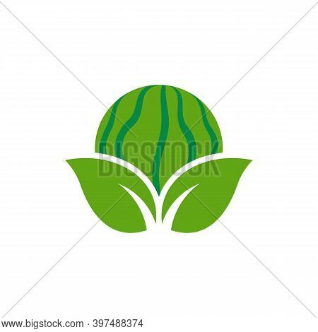 Watermelon Logo Vector Template, Creative Watermelon Logo Design Concepts