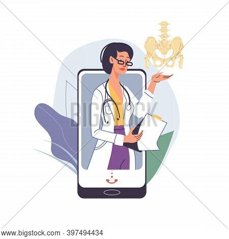 Pelvis Images Illustrations Vectors Free Bigstock