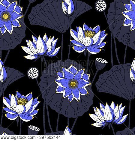 Seamless Floral Pattern With Blue Lotus Flowers On Black Background. Stock Vector