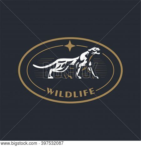 A Puma Or Panther Walks And Growls. Stylized Vector Illustration.