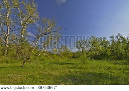 Novomoskovsk Is A City In The Dnepropetrovsk Region Of Ukraine, The Center Of The Novomoskovsk Regio