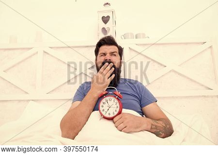 Stressed Man Yawning Takes Alarm Clock. Too Early. Sleepy Man Holding Alarm Clock In Bed. Bearded Ma