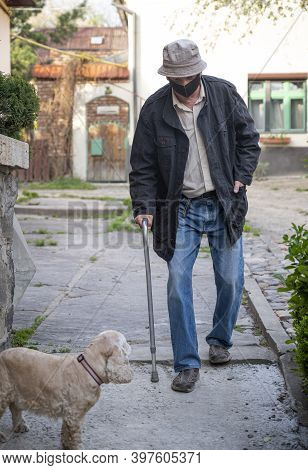 Senior Man In Protective Mask With A Cane Walking With A Dog In Sunny Day