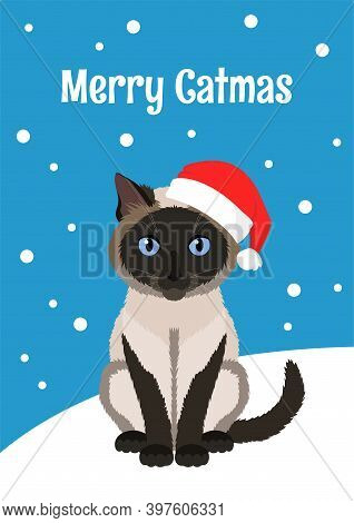Christmas Greeting Card With Siamese Cat Wearing Red Santa Hat. Inscription Merry Catmas. Minimalist