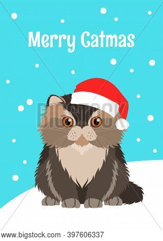Christmas Greeting Card With Persian Cat Wearing Red Santa Hat. Inscription Merry Catmas. Minimalist