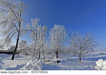 Korolyovka - Village, Nikolaevsky Village Council, Novomoskovsky District, Dnepropetrovsk Region, Uk