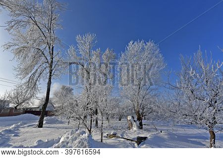 Korolyovka - Village, Nikolaevsky Village Council, Novomoskovsky District, Dnepropetrovsk Region, Uk
