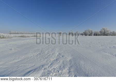 Korolyovka - Village, Nikolaevsky Village Council, Novomoskovsky District, Dnepropetrovsk Region, Uk
