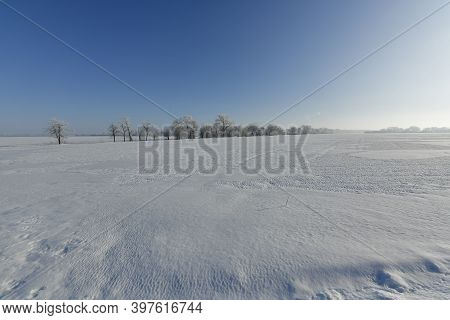 Korolyovka - Village, Nikolaevsky Village Council, Novomoskovsky District, Dnepropetrovsk Region, Uk