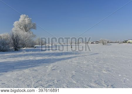 Korolyovka - Village, Nikolaevsky Village Council, Novomoskovsky District, Dnepropetrovsk Region, Uk