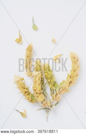 Traditional Greek Mountain Herbal Tea Sideritis