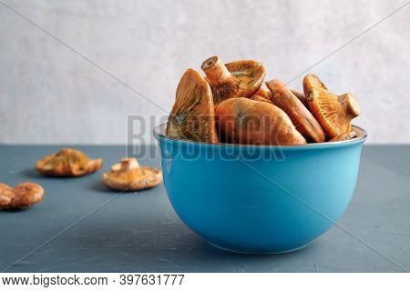Blue Bowl Full Of Rovellons Or Niscalos, Typical Autumn Mushrooms