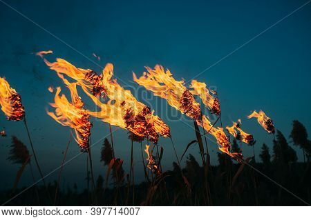 Burning Clumps On A Background Of Blue Sky. Art Photo.