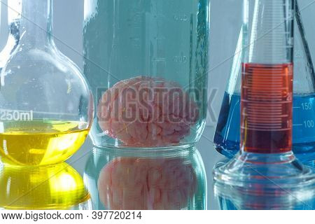 Human Brain Preserved In Formaldehyde For Science Experiments And Education On Anatomy