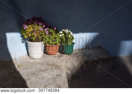 Flowerpots Beside The Entry Of Traditional House Of La Garganta Village, Ambroz Valley, Caceres, Ext