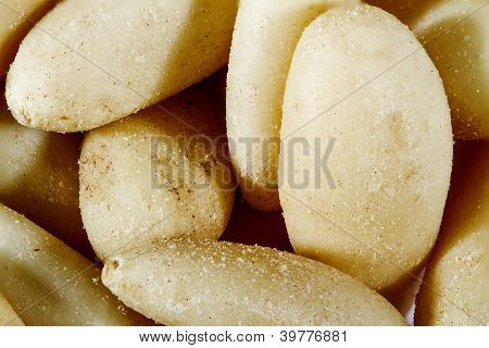 Pinenuts
